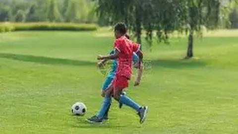 立博体育 资讯 125032 t3l