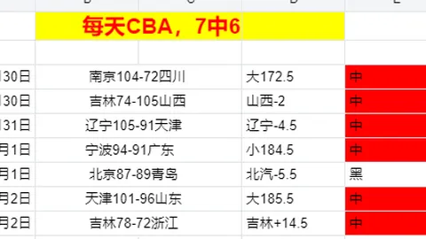 澳超纽卡喷气机主场表现解读：专家质合分析前区十码